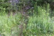 IMG-20160627-WA003