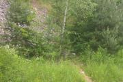 IMG_20160629_141321