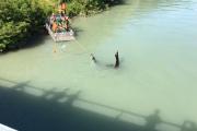 IMG-20160719-WA0003