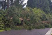 IMG-20160815-WA0004