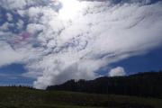 DSC09788