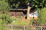 Photo46
