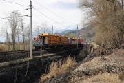 IMG_1041 (1)