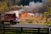 Ledenitzen, Schilfbrand Foto Hermann Sobe