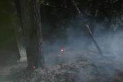 Waldbrand-Ebenwald-3
