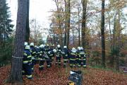 Wernberg28.10.2017 (1)