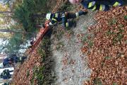 Wernberg28.10.2017 (10)