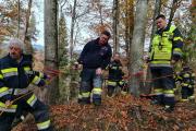 Wernberg28.10.2017 (13)