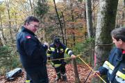 Wernberg28.10.2017 (16)