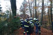 Wernberg28.10.2017 (2)