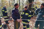 Wernberg28.10.2017 (22)