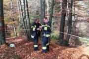 Wernberg28.10.2017 (24)