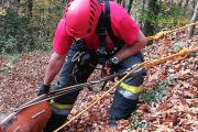 Wernberg28.10.2017 (29)