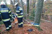 Wernberg28.10.2017 (3)