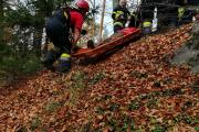 Wernberg28.10.2017 (31)