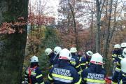 Wernberg28.10.2017 (4)