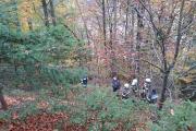 Wernberg28.10.2017 (5)