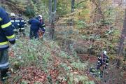 Wernberg28.10.2017 (6)