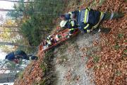 Wernberg28.10.2017 (9)