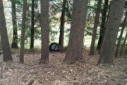 IMG-20171102-WA0012