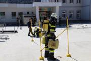 Photo42