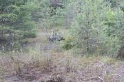 IMG-20180626-WA0002
