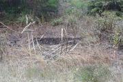 IMG-20180626-WA0003