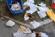 Brand Oberaichwald 1