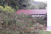 IMG-20170806-WA0004