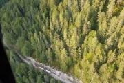 Waldbrand-Windische-Hhe-1