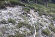 Waldbrand-Windische-Hhe-11