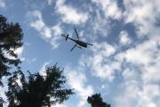 Waldbrand-Windische-Hhe-12