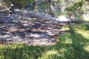 Waldbrand-Windische-Hhe-17