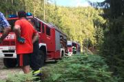 Waldbrand-Windische-Hhe-3