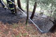 Waldbrand-Windische-Hhe-5