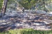 Waldbrand-Windische-Hhe-7