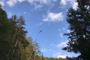Waldbrand-Windische-Hhe-8