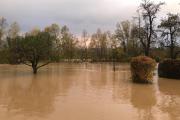 Latschach_Hochwasser-Drau (3)