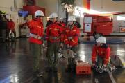 IMG_1687-864x576