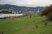 IMG_9674-Kopie