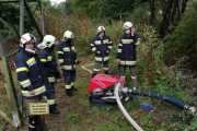 IMG-20201004-WA0038
