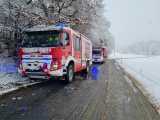 IMG-20210314-WA0008