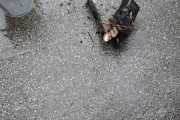 IMG-20210805-WA0004
