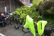 IMG-20210805-WA0026