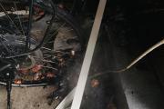IMG_20210805_074719
