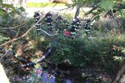 IMG-20210926-WA0001