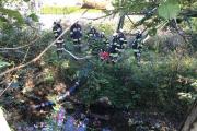 IMG-20210926-WA0003