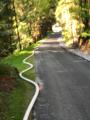 IMG-20210926-WA0008