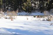 Uebung-20230129-Eisrettung-Station3-01