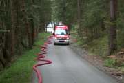 TRIAL____________IMG_6912
